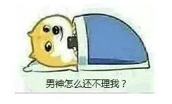 男神怎么还不理我（男神怎么还不理我）