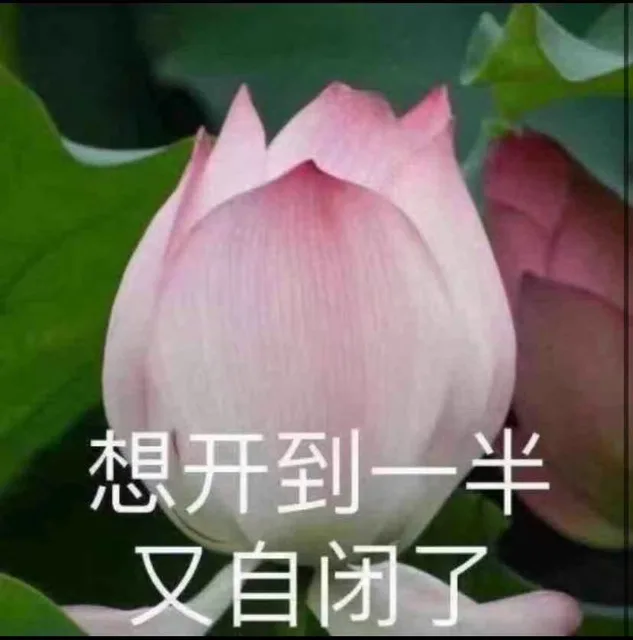 想开到一半又自闭了（想开到一半又自闭了）
