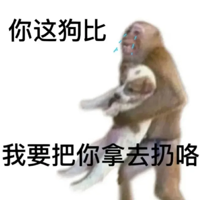你这狗比我要把你拿去扔咯（你这狗比我要把你拿去扔咯）