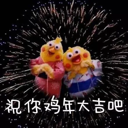 鹦鹉兄弟版祝你们鸡年大吉吧（鹦鹉兄弟版祝你们鸡年大吉吧）