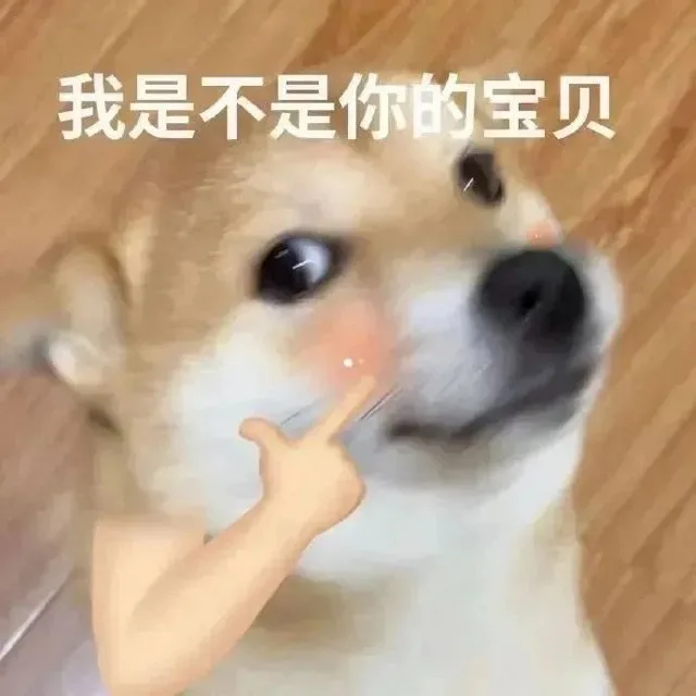 我是不是你的宝贝（我是不是你的宝贝）