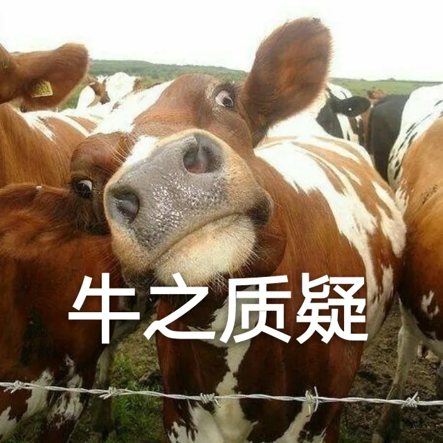 牛之质疑（牛之质疑）
