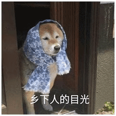 乡下人的目光（乡下人的目光）