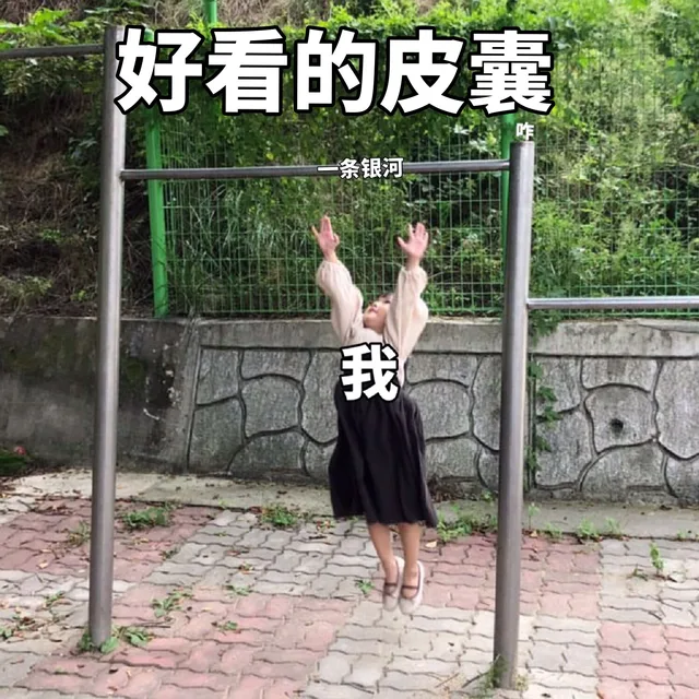 好看的皮囊条银河我