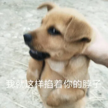 我就这样掐着你的脖子（狗子）