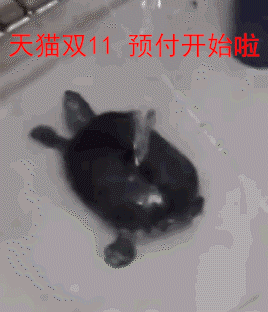 双11，付尾款时的我_双11