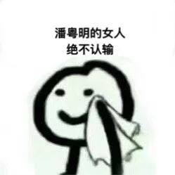 XX 的女人（男人）绝不认输，潘粤明 大华 王一博 金泰妍 李洪基 胡歌 边伯贤 林更新 张杰的老婆们请收图 _绝不认输表情包