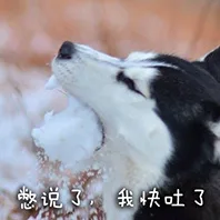 憋说了，我快吐了