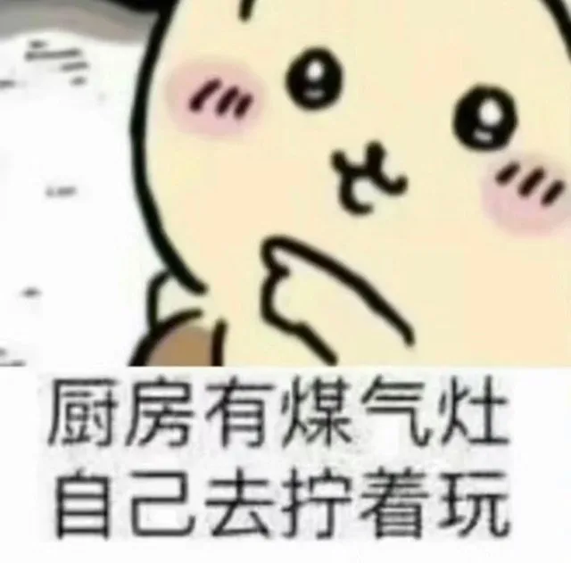 厨房有煤气灶自己去拧着玩（厨房有煤气灶自己去拧着玩）