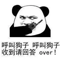 呼叫狗子呼叫狗子收到请回答over!（呼叫狗子呼叫狗子收到请回答over!）