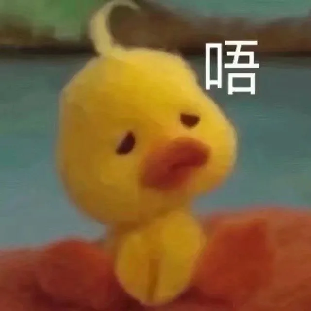 咋肥四鸭小黄鸭
