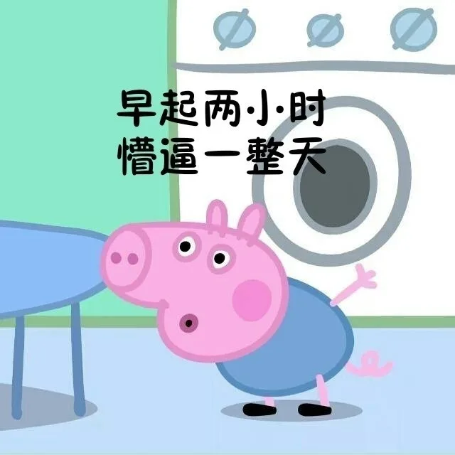 早起两小时，懵逼一整天（早起两小时，懵逼一整天）