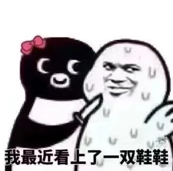 我最近看上了一双鞋鞋