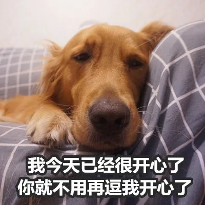 我今天已经很开心了你就不用再逗我开心了（我今天已经很开心了你就不用再逗我开心了）