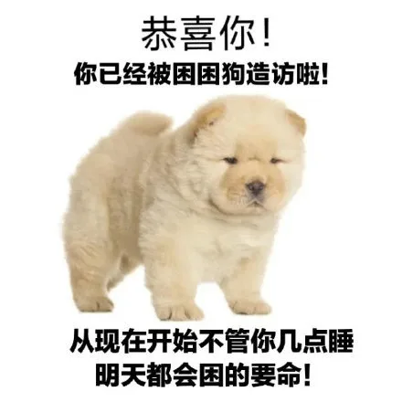 恭喜你!你已经被困困狗造访啦!从现在开始不管你几点睡明天都会困的要命!