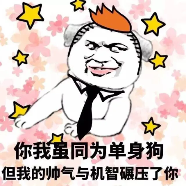 你我虽同为单身狗狗，但我的帅气与机智碾压你