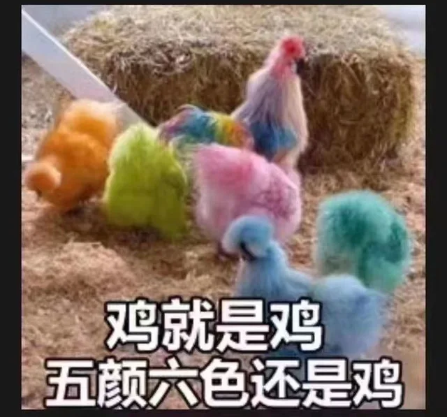鸡就是鸡五颜六色还是鸡