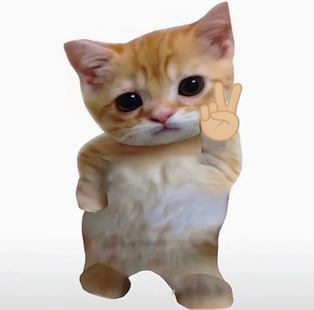 小猫咪自拍表情包（小猫咪自拍表情包）