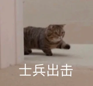 士兵出击