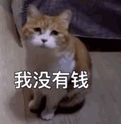 我没有钱（我没有钱）