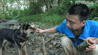 华山兄弟从狗狗口中抢食物