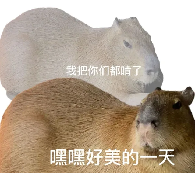 我把你们都啃了嘿嘿好美的一天(水豚表情包)（我把你们都啃了嘿嘿好美的一天(水豚表情包)）