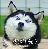 你叫我？