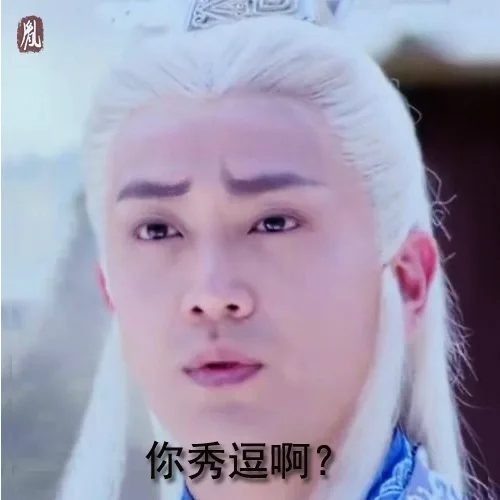 你秀逗啊？（你秀逗啊？）
