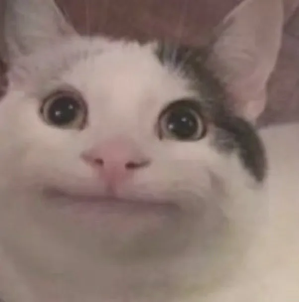 猫猫头表情包（猫猫头表情包）