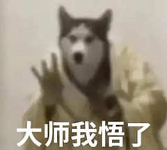 大师我悟了（大师我悟了）