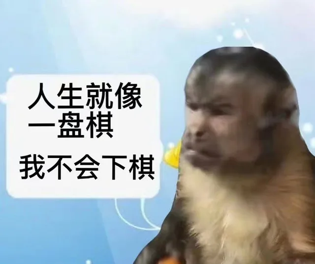 人生就像一盘棋我不会下棋(吗喽表情包)（人生就像一盘棋我不会下棋(吗喽表情包)）