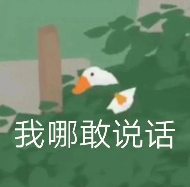 我哪敢说话（我哪敢说话）