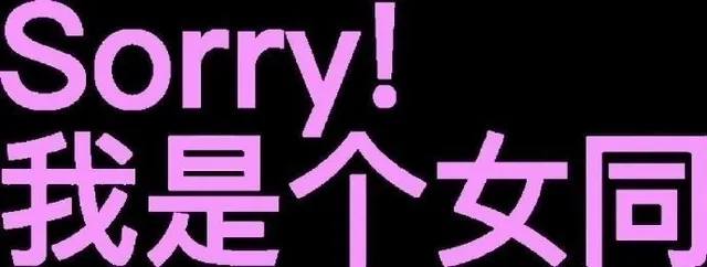 Sorry我是个女同（Sorry我是个女同）
