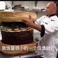 我饭量很小的一个汉堡就行（我饭量很小的一个汉堡就行）