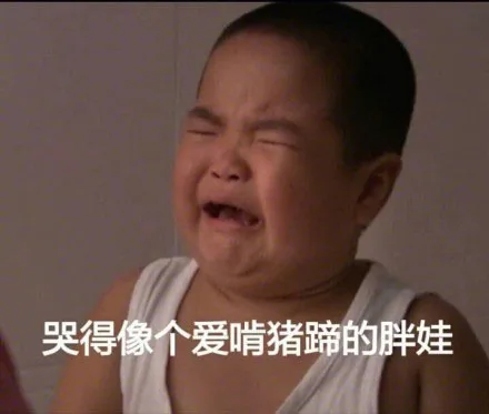 哭得像个爱啃猪蹄的胖娃