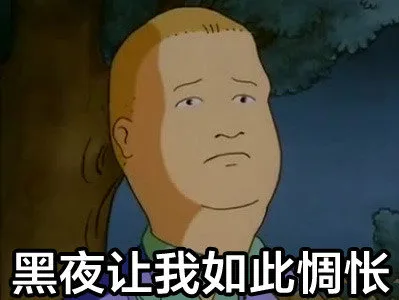 黑夜让我如此惆怅（黑夜让我如此惆怅）