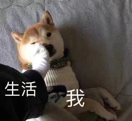 生活我（生活我）