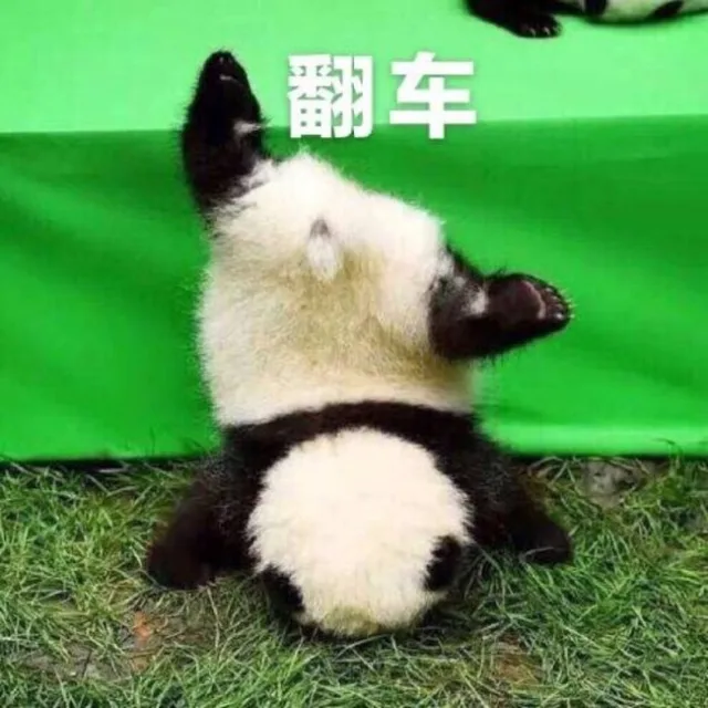 老司机翻车了