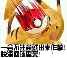 一会不注意就出来作孽，快滚回球里来！！