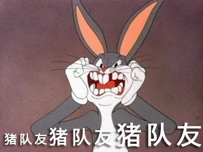 猪队友猪队友猪队友