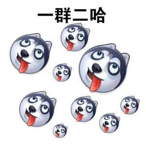 一群二哈（一群二哈）