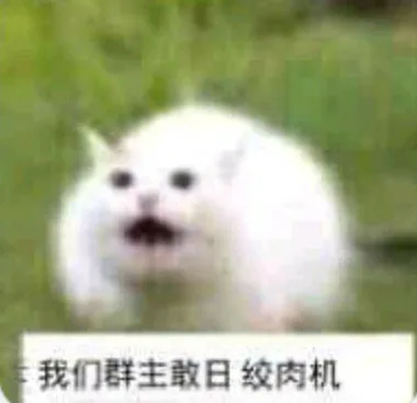 我们群主敢日绞肉机（我们群主敢日绞肉机）