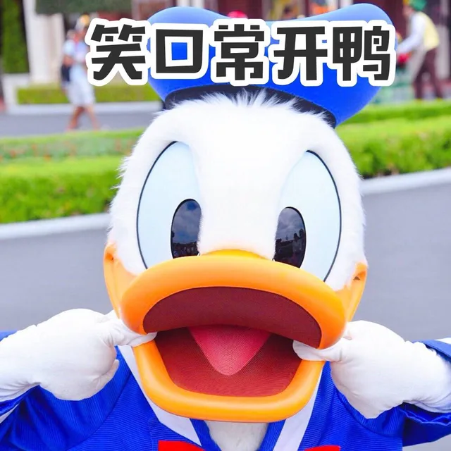 笑口常开鸭