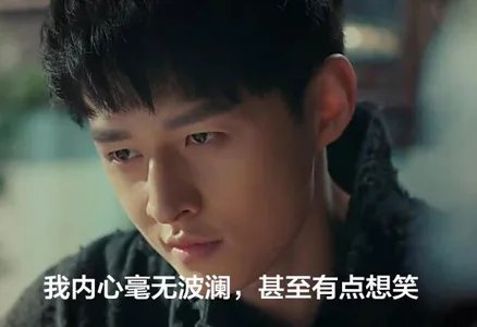 我内心毫无波澜，甚至有点想笑（我内心毫无波澜，甚至有点想笑）