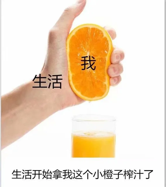 一组「生活与我」