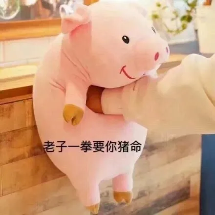 老子一拳要你猪命（老子一拳要你猪命）