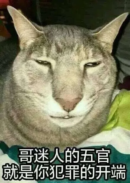 聊天斗图必备