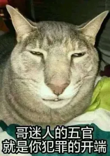 聊天斗图必备表情包