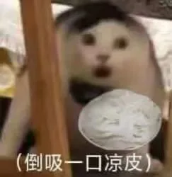 (倒吸一口凉皮)（(倒吸一口凉皮)）