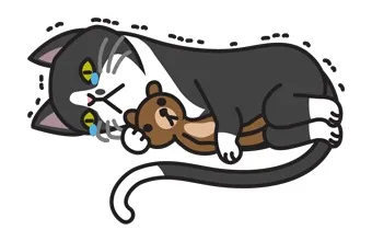黑猫抱宠物娃娃睡觉（黑猫抱宠物娃娃睡觉）